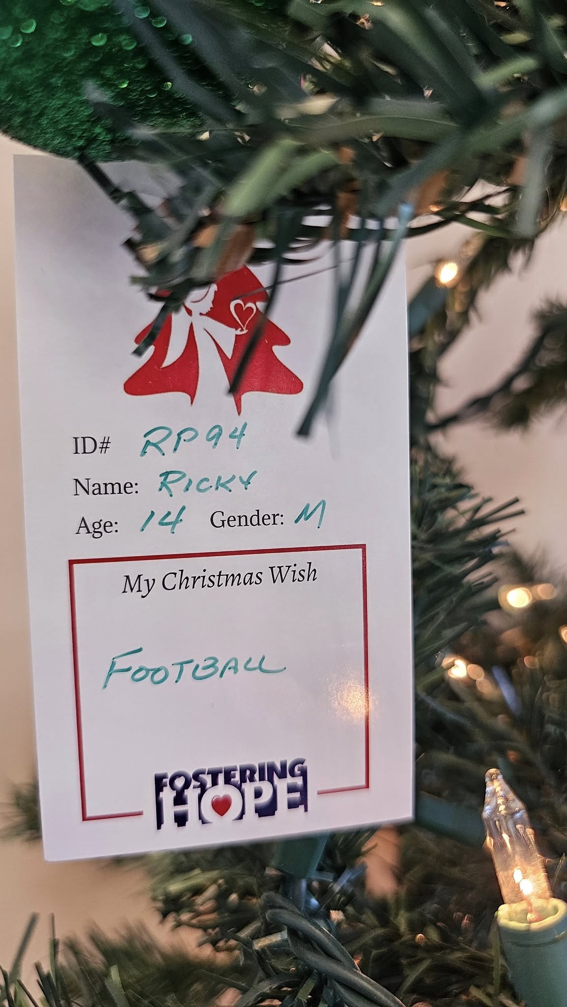 Meadowlawn Animal Services Conway