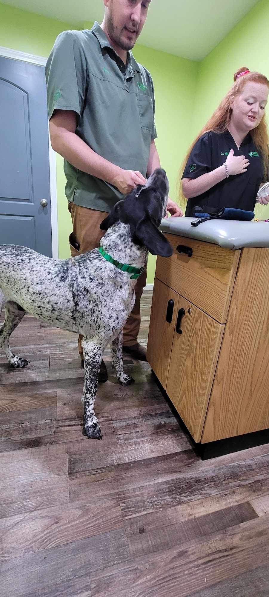 Footloose Veterinary Services, LLC Darlington