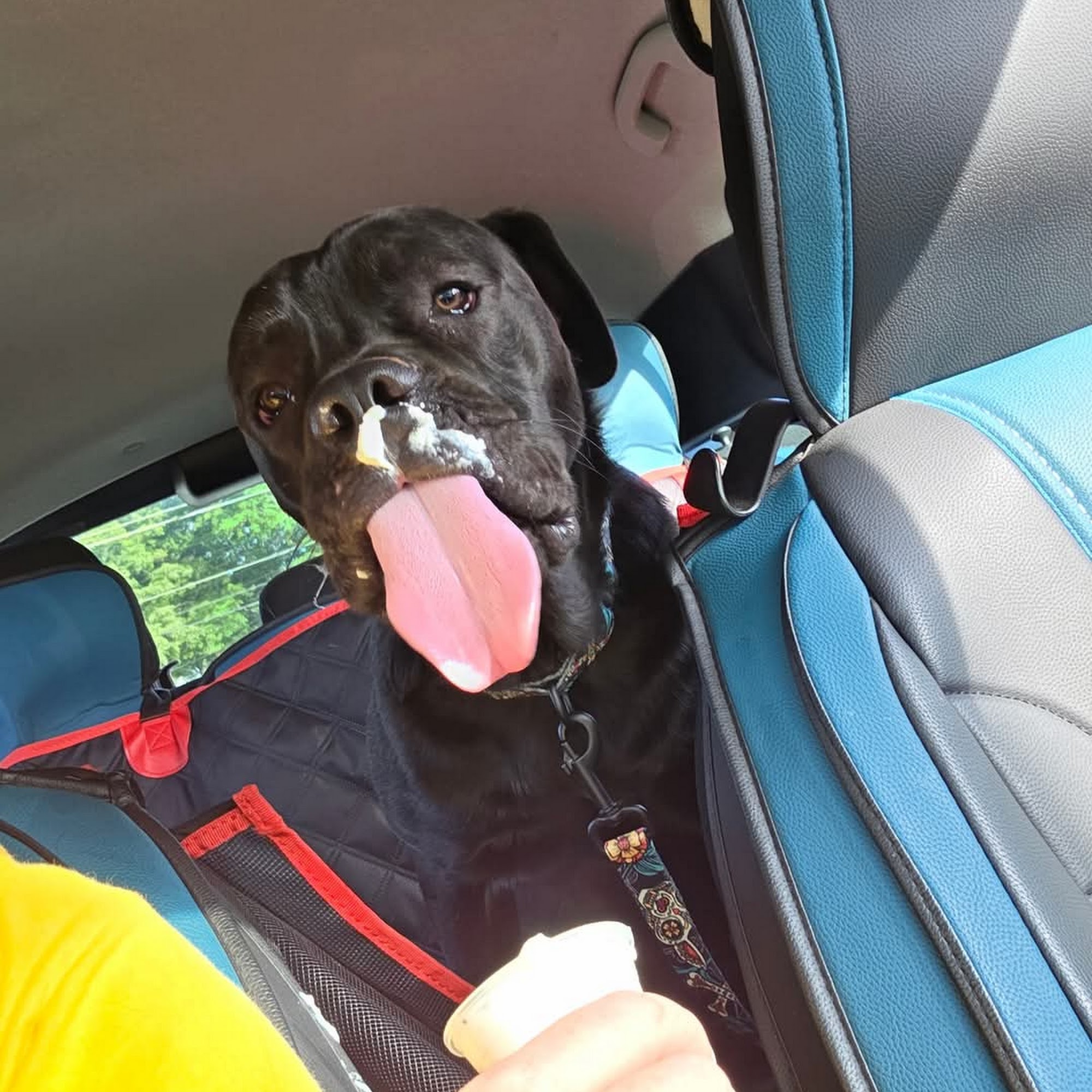 Healthpointe Veterinary Clinic: Johnson Lauren DVM Duncan