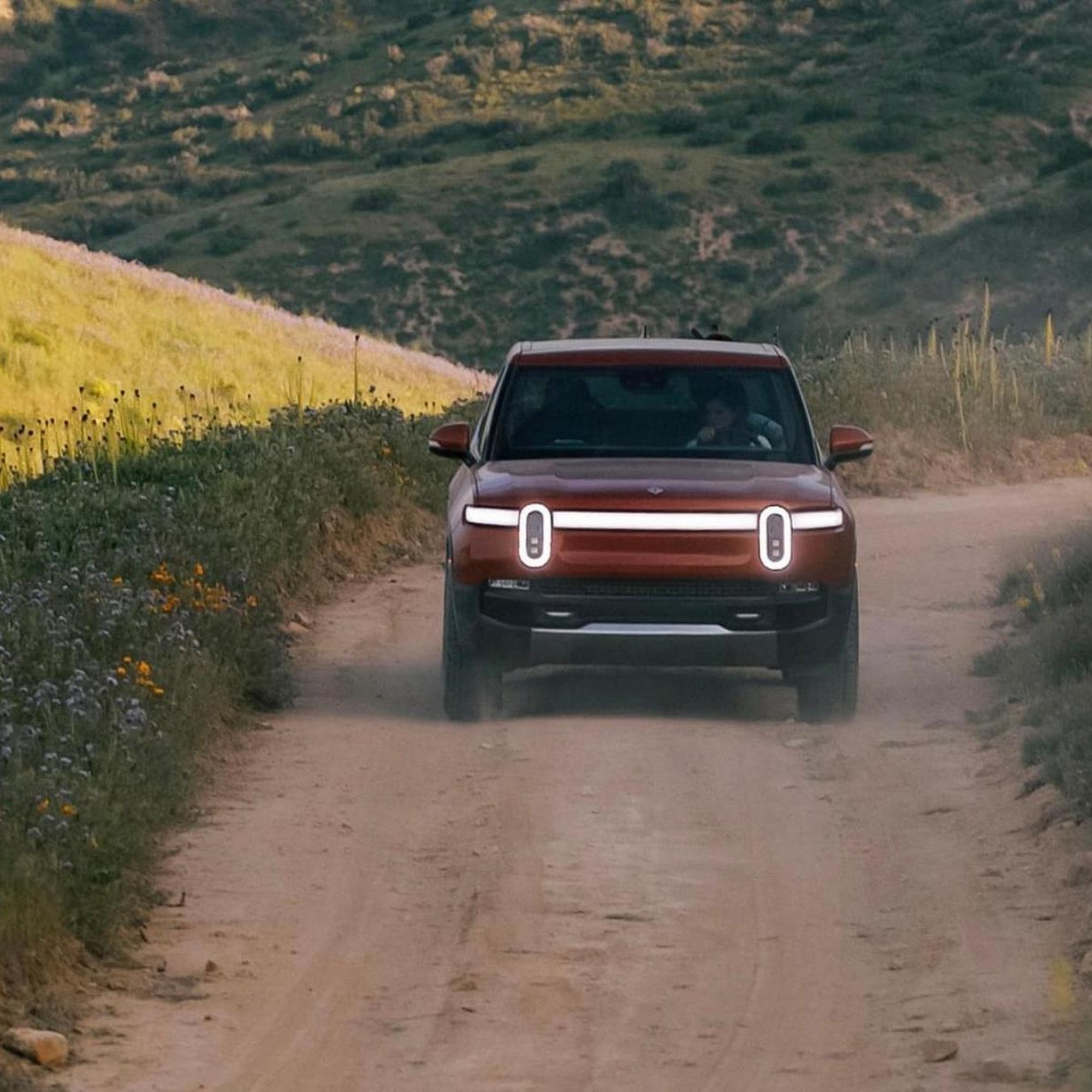 Rivian Service Center
