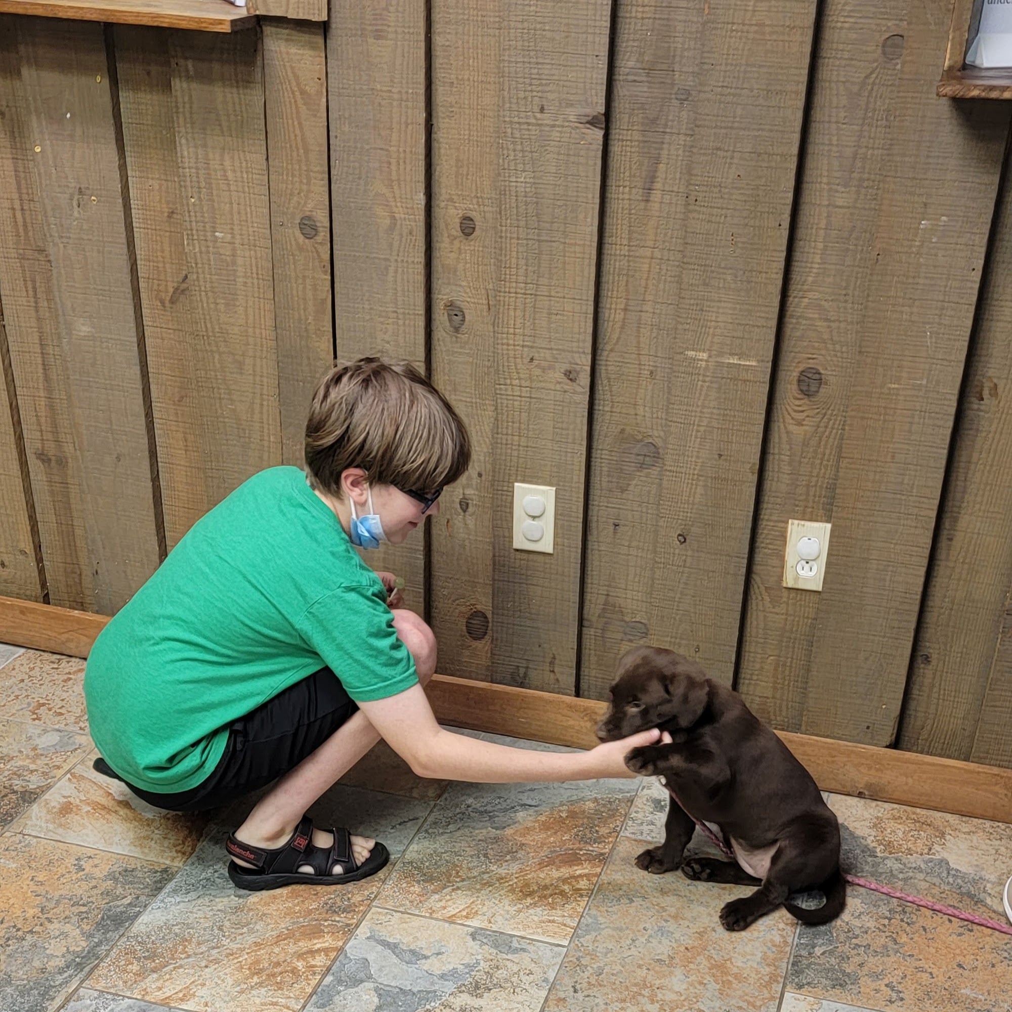 Langston James Easley