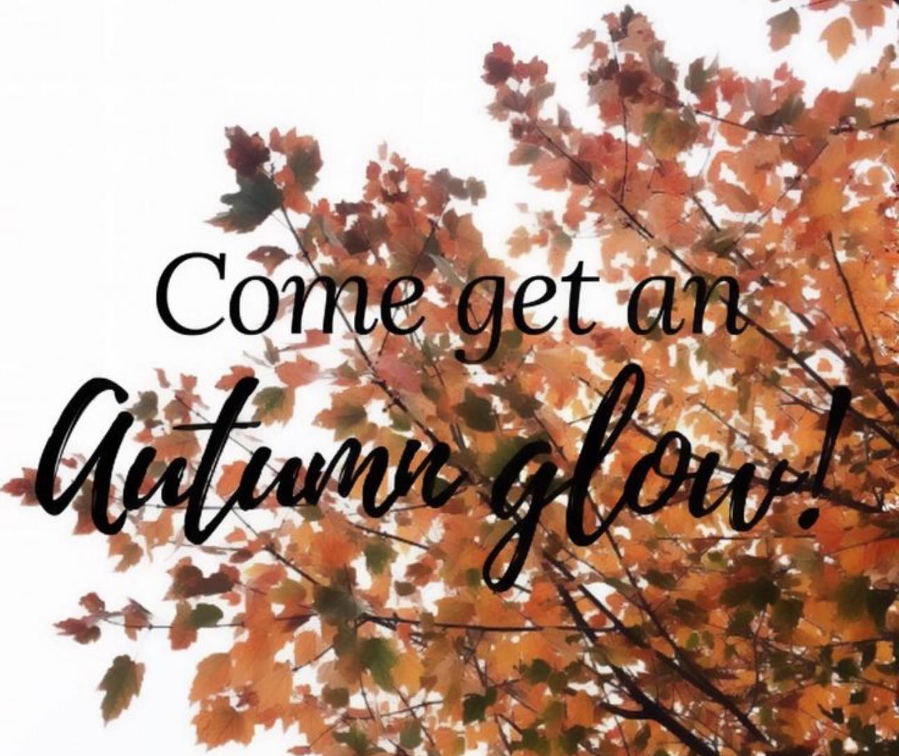 Wildflower Spa LLC 215 Folk St, Edgefield South Carolina 29824