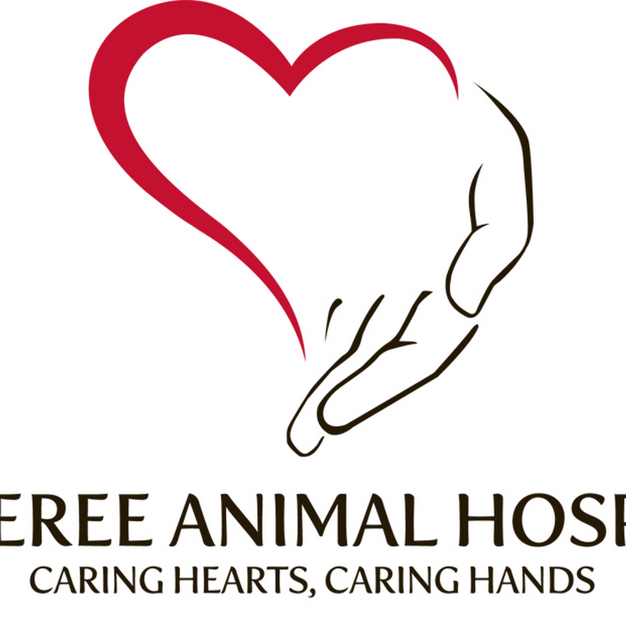 Wateree Animal Hospital Elgin