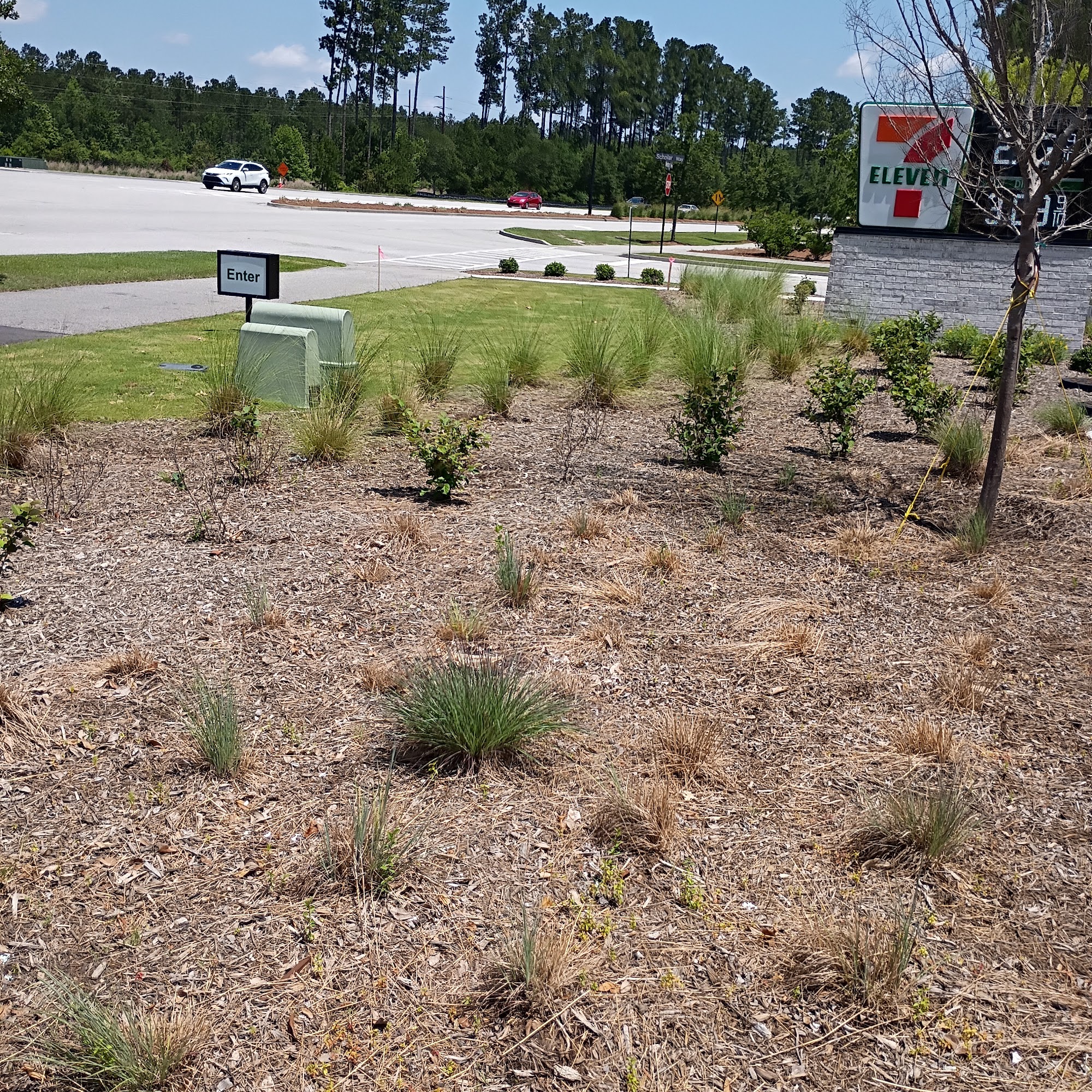 American Lawn scaping and IrrigationL LLC