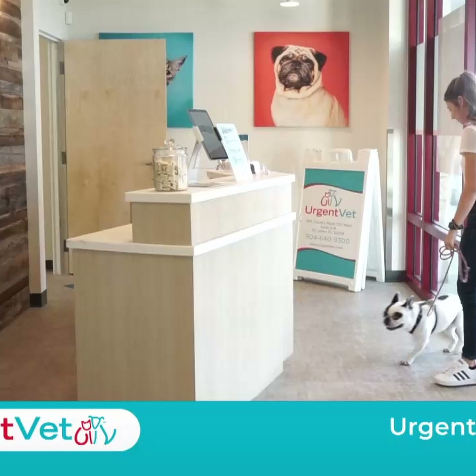 UrgentVet - Fort Mill Fort Mill