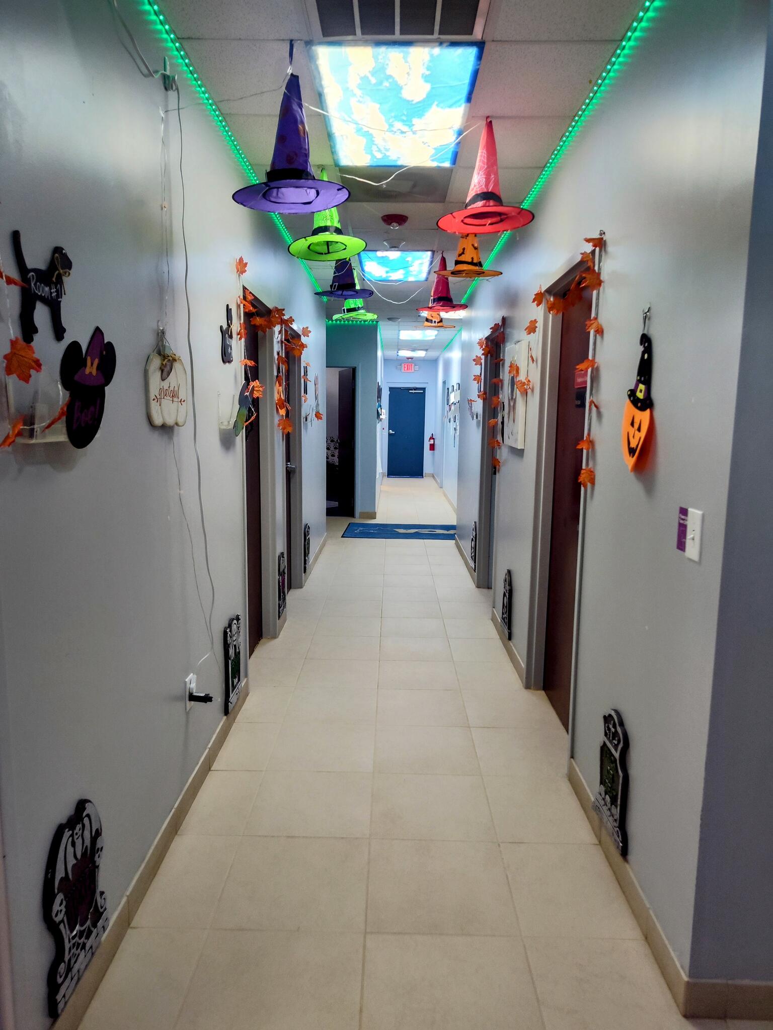 VCA Indian Land Animal Hospital Fort Mill