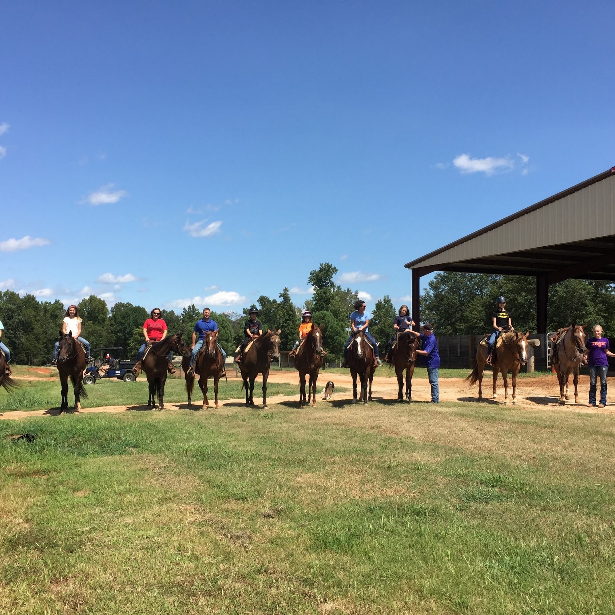 Potts Performance Horses LLC Fountain Inn