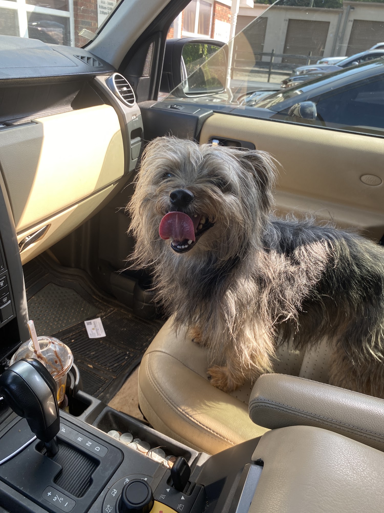 Cherokee County Animal Hospital Gaffney