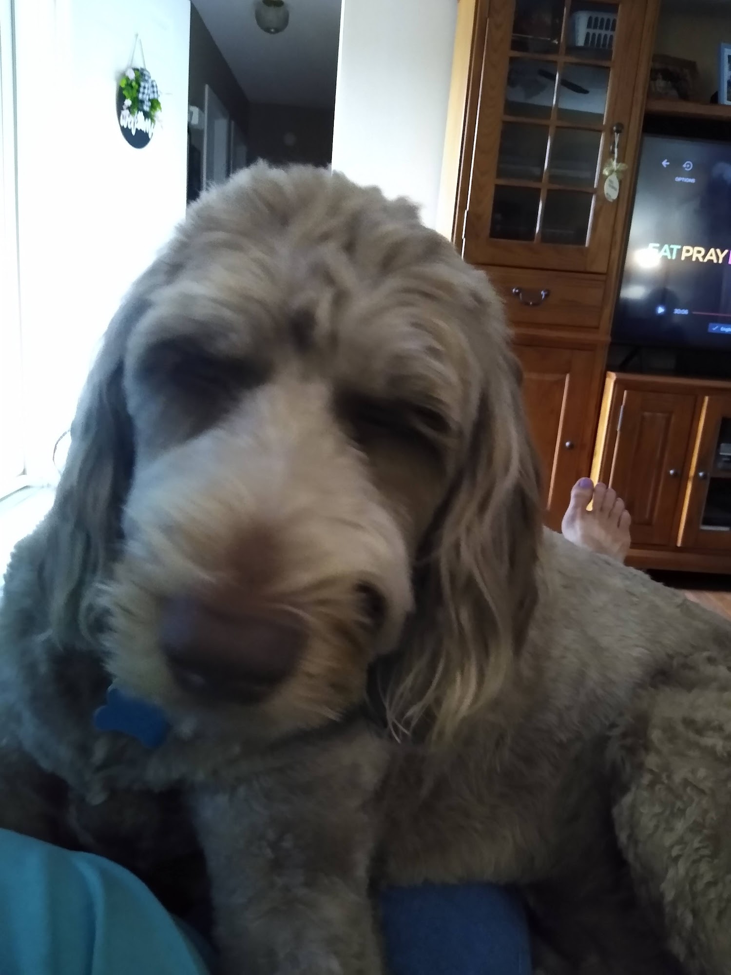 Rockin' G Ranch Gaffney