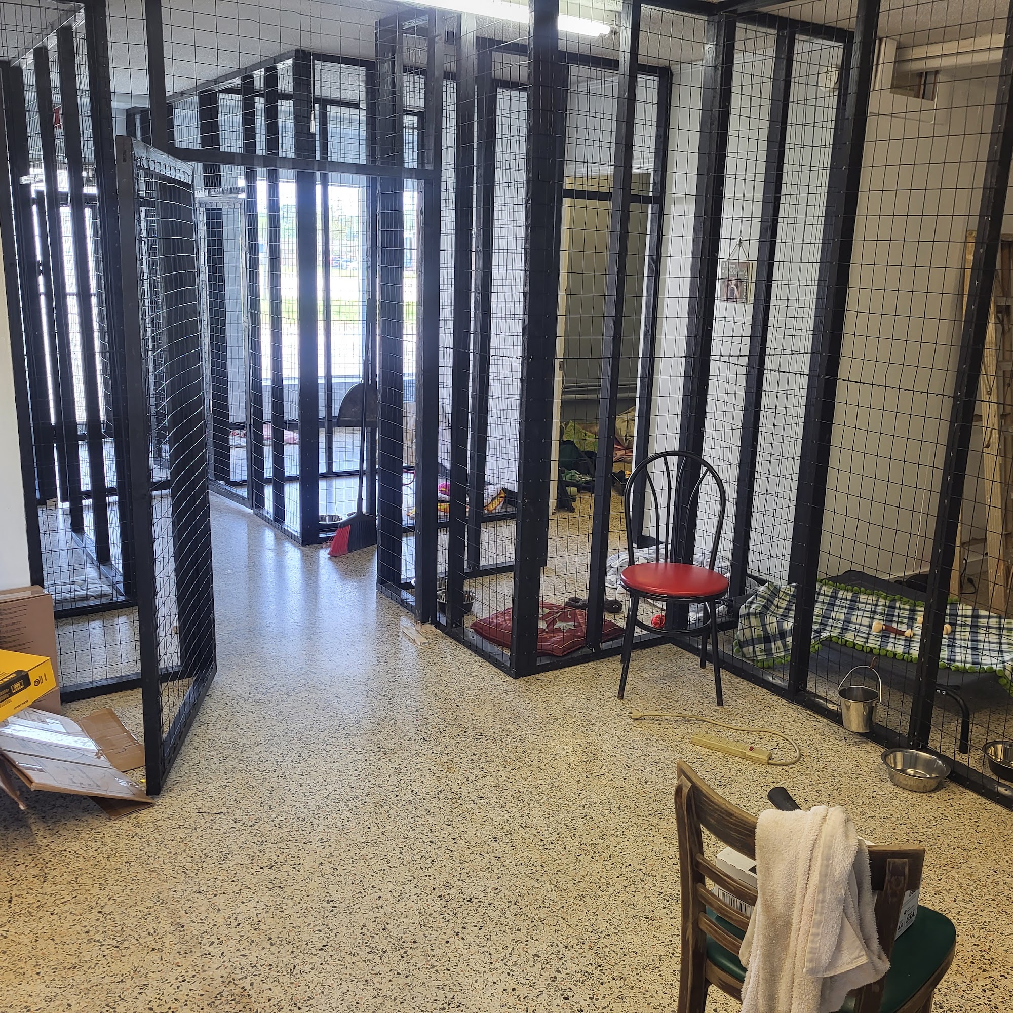 Off The Chain Pet Grooming Gaffney