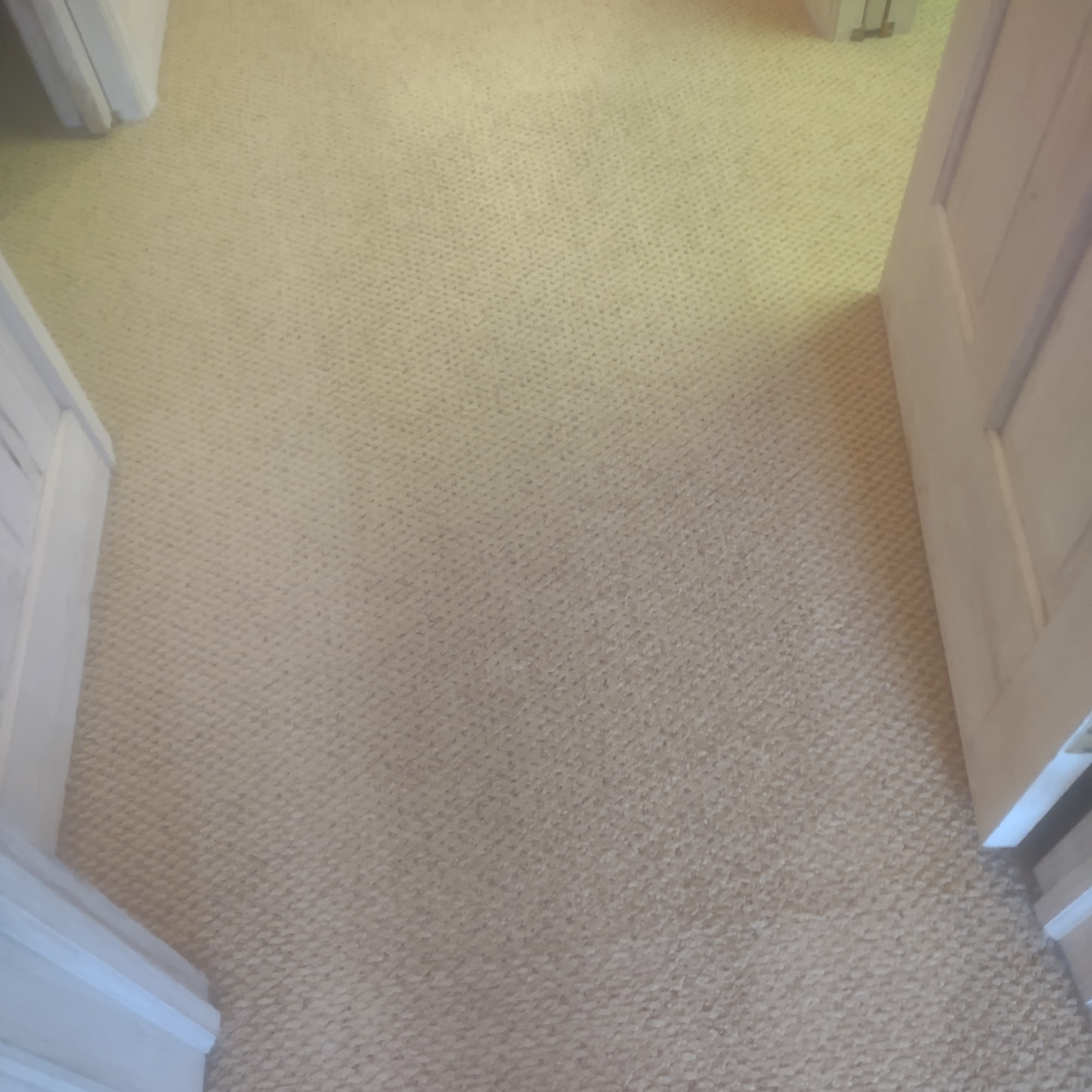 Sparkle & Clean Carpet Clean