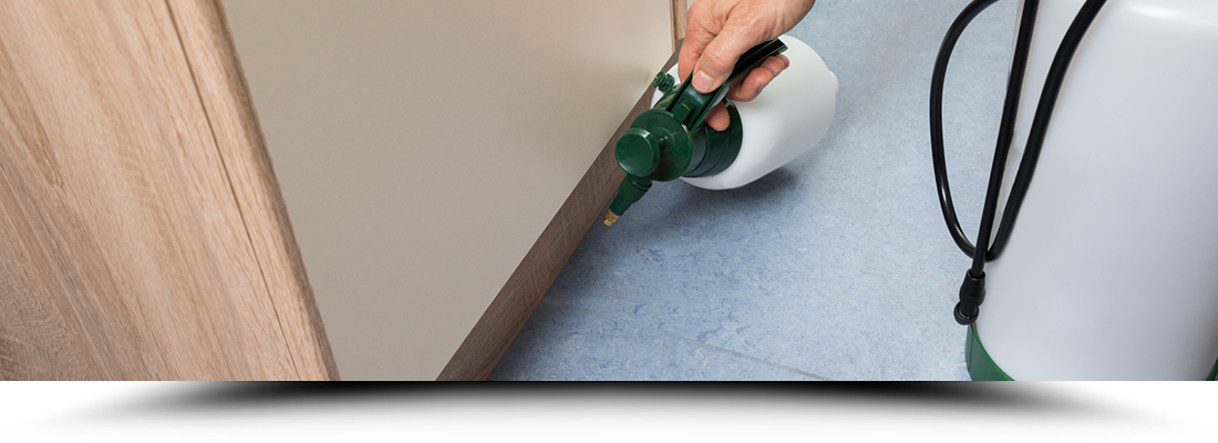 Moore's Premium Termite & Pest