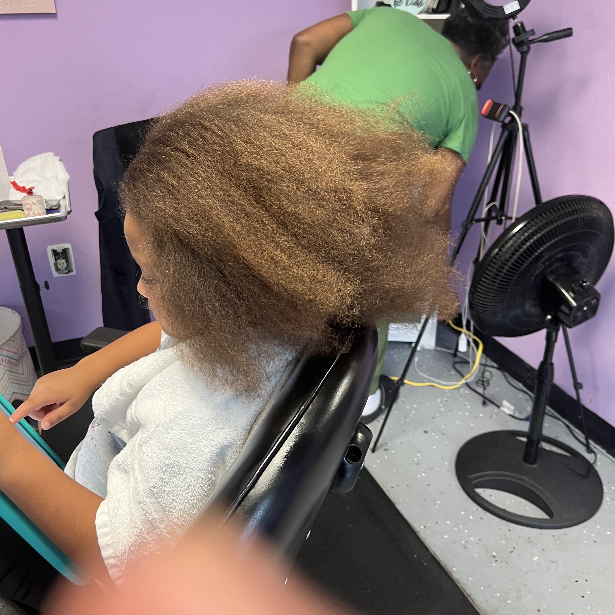 Ebonies Natural Hair Braiding