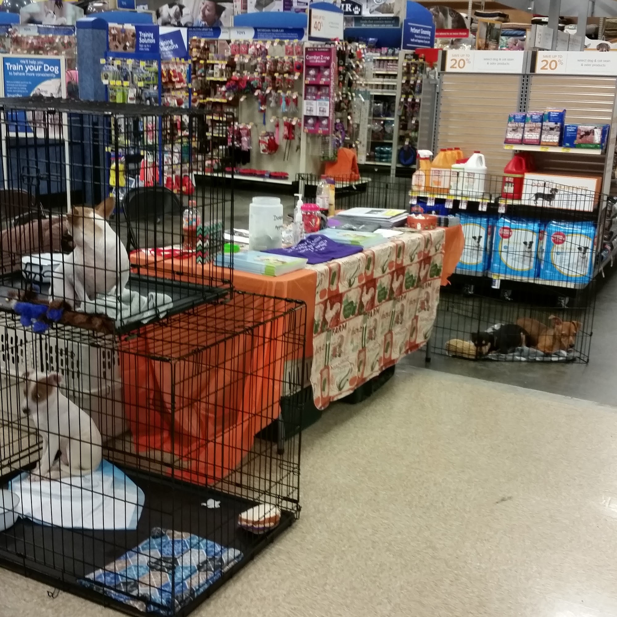 PetSmart Greenville