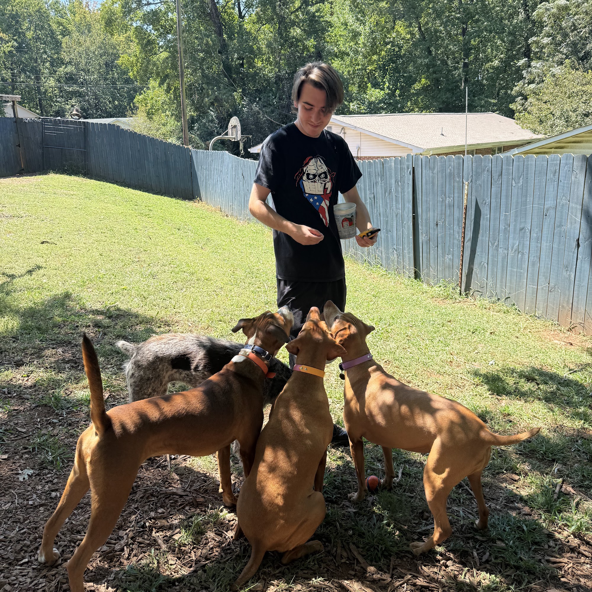 Upstate Dog Academy Greenville