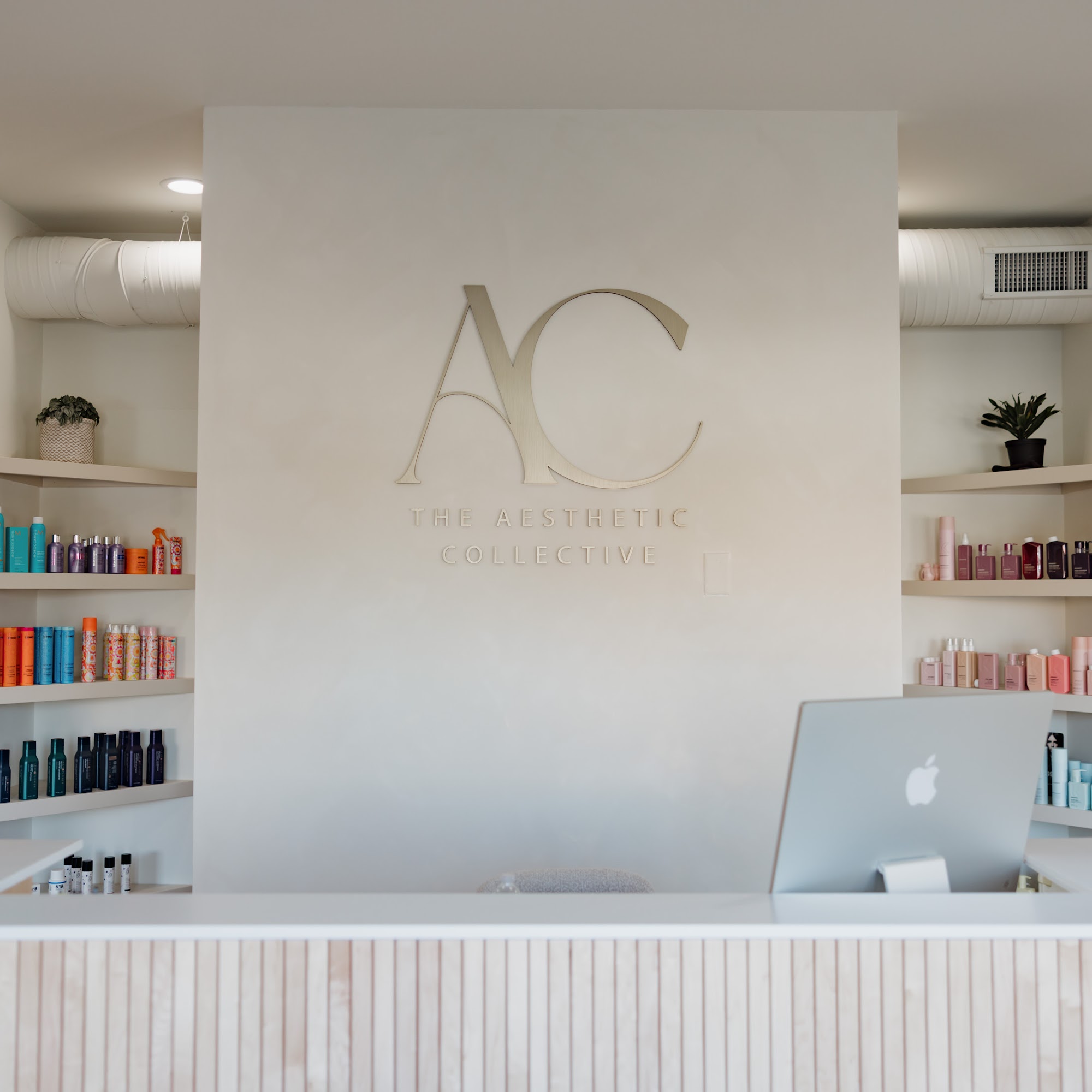 The Aesthetic Collective