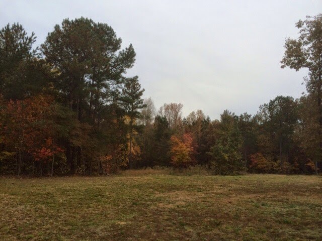 Southern Country Pet Care Greenwood