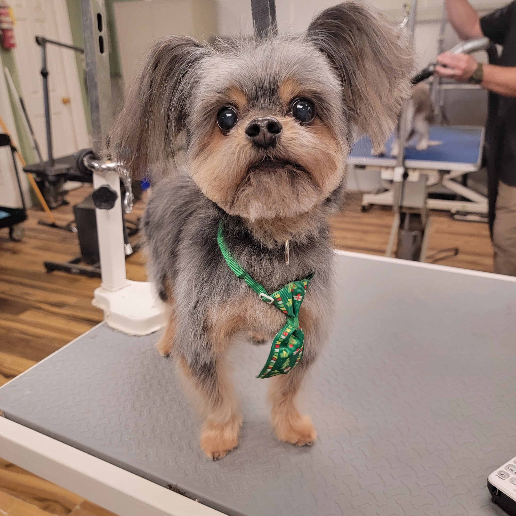 Sam & Boo's Place Greenwood