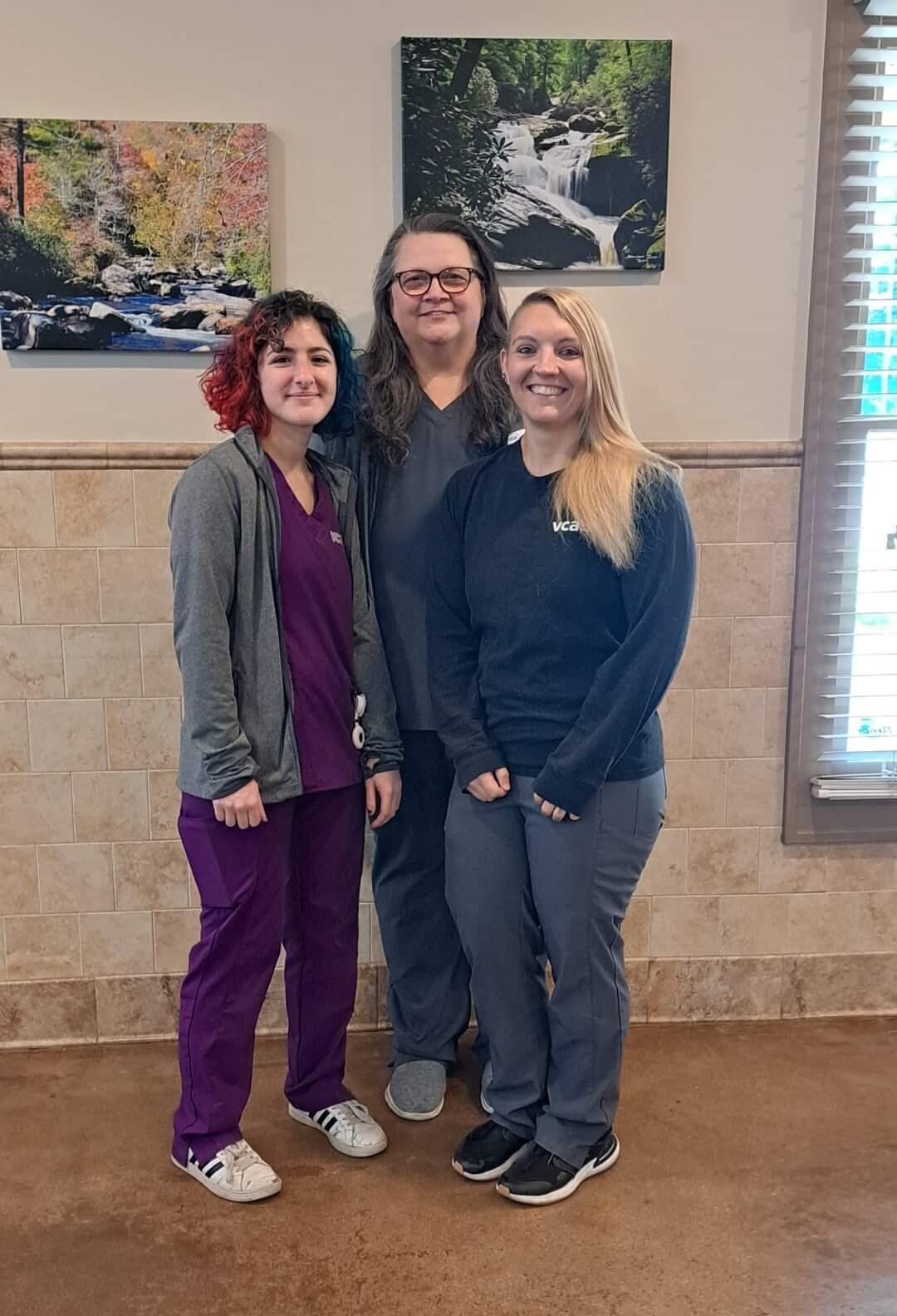 VCA Blue Ridge Animal Hospital Greer