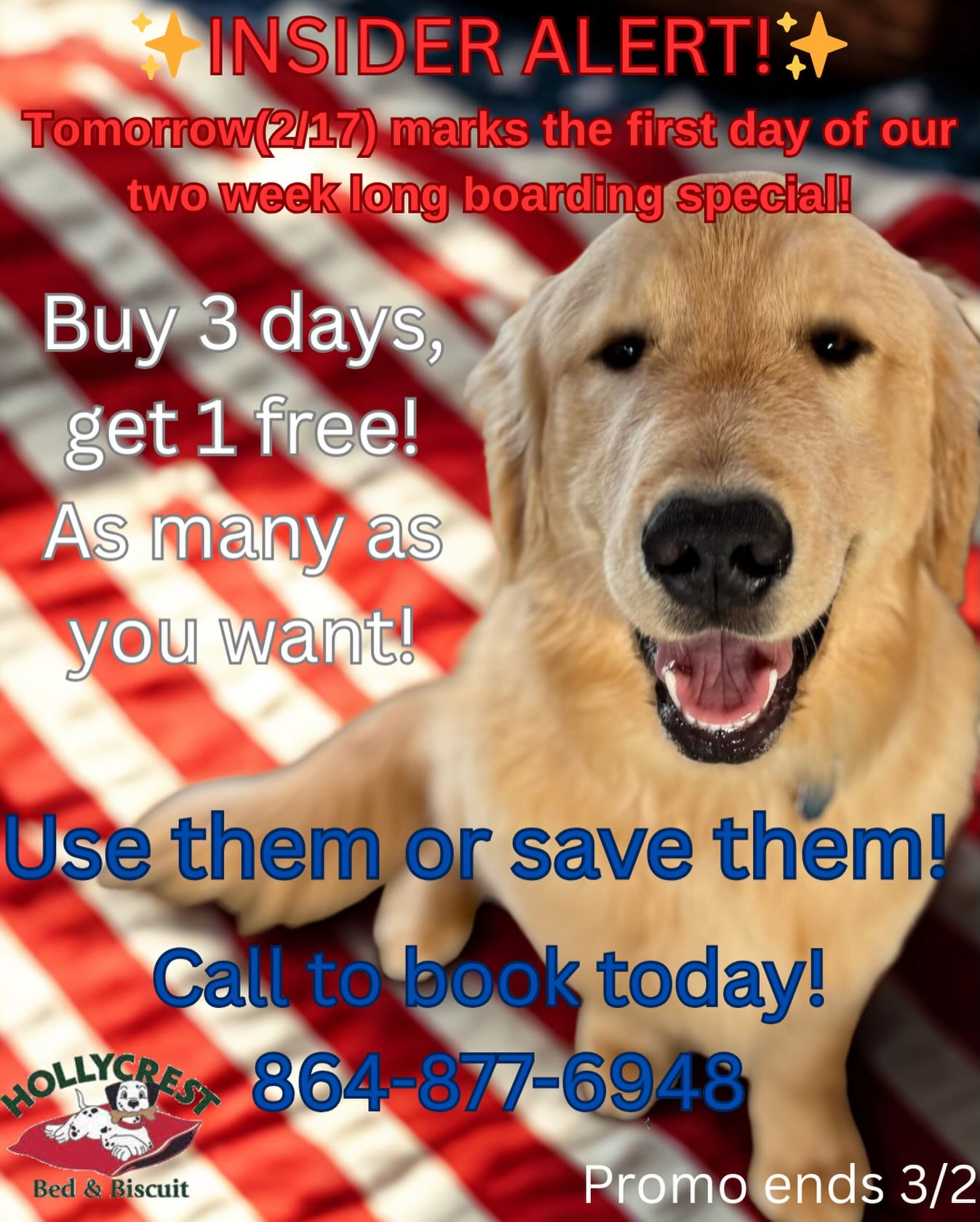 Hollycrest Bed & Biscuit Greer