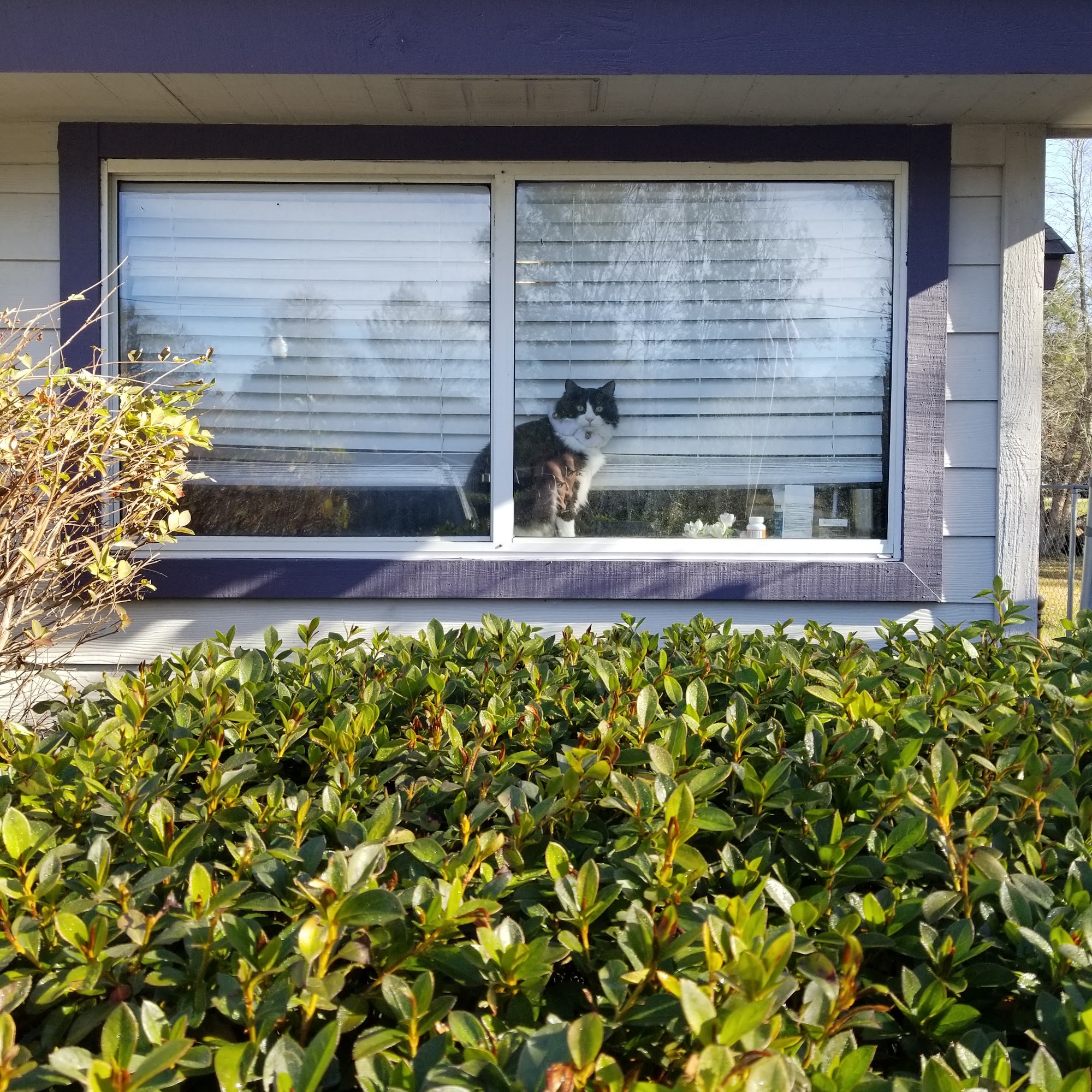 Hardeeville Veterinary Clinic Hardeeville