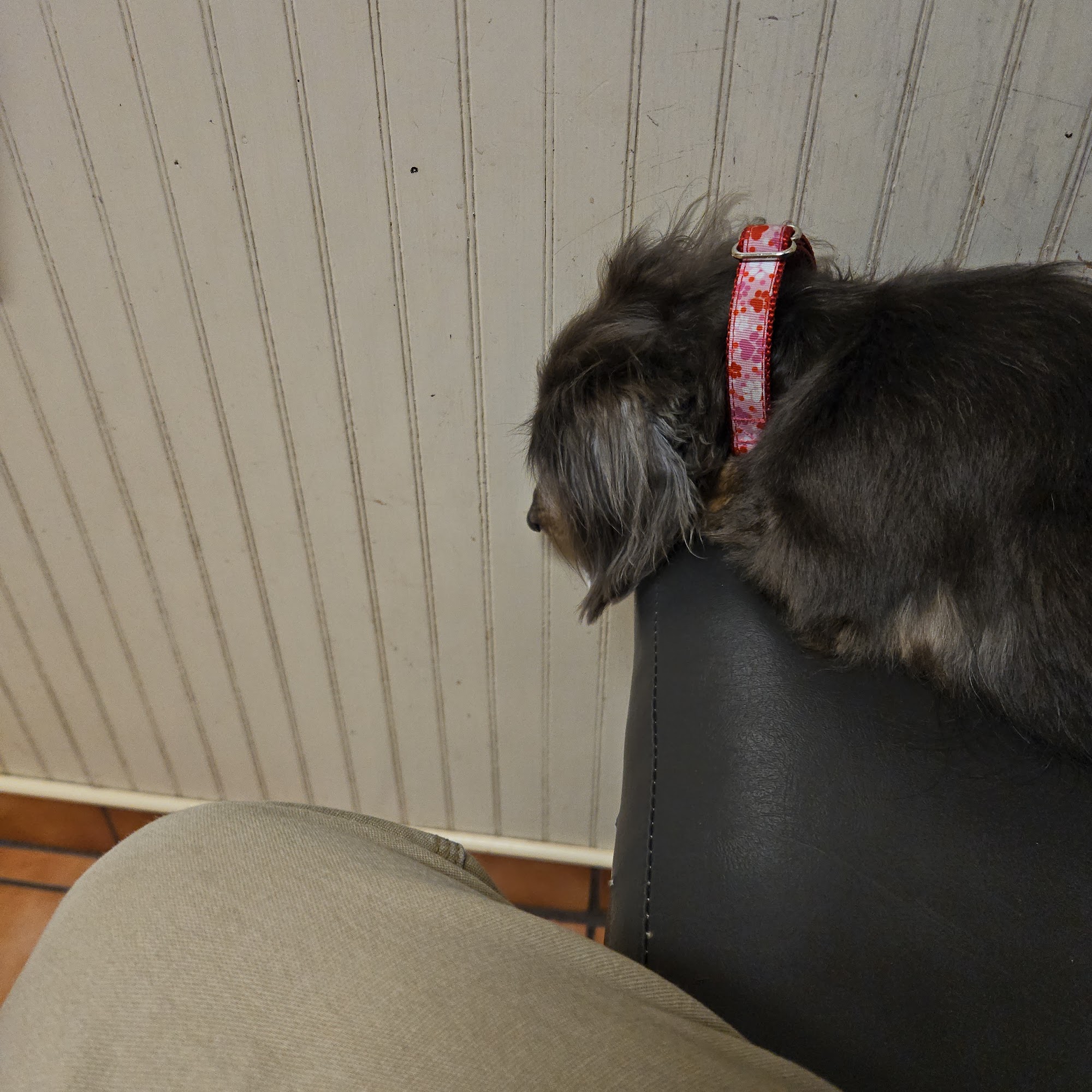 Hartsville Animal Hospital Hartsville