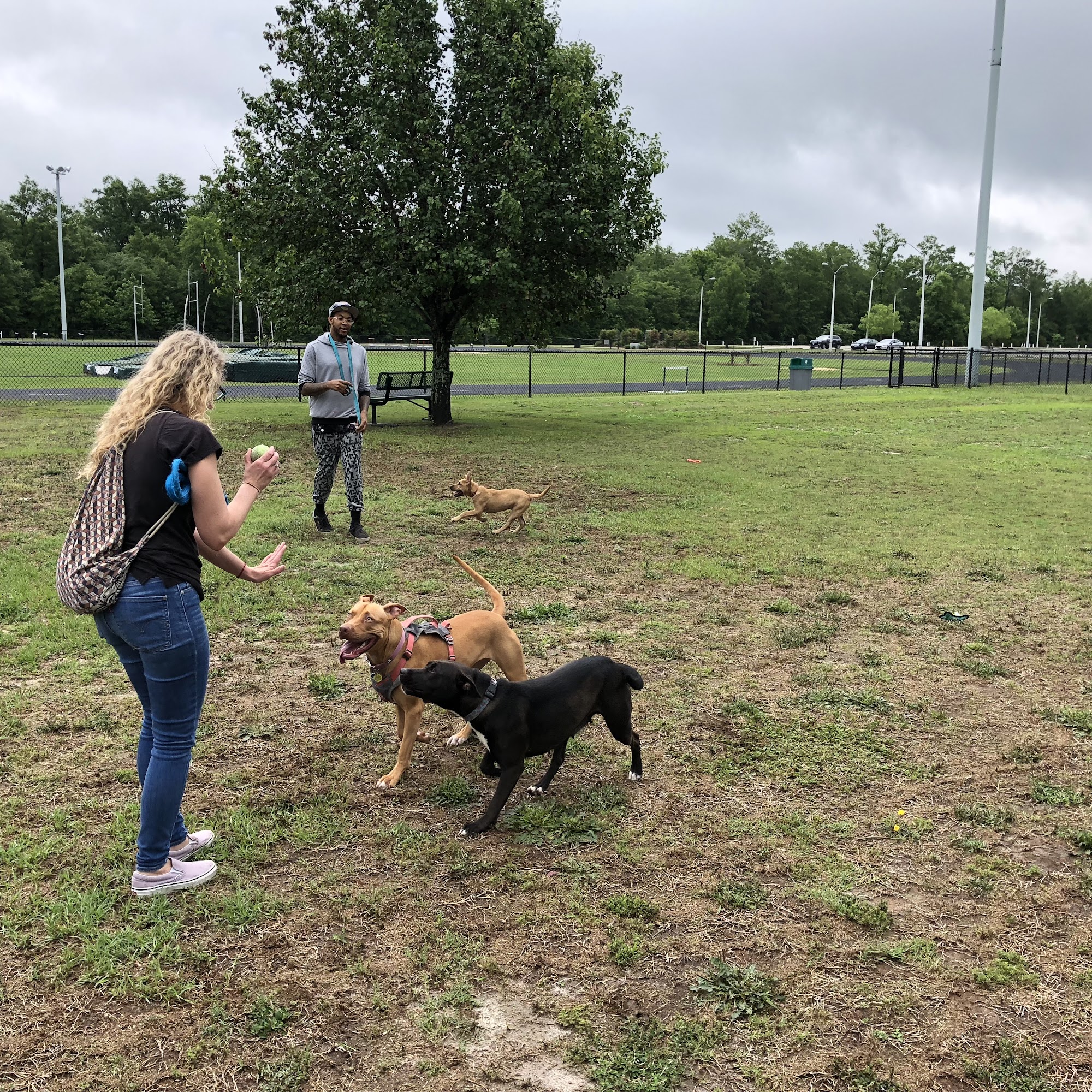 City of Hartsville Dog Park Hartsville