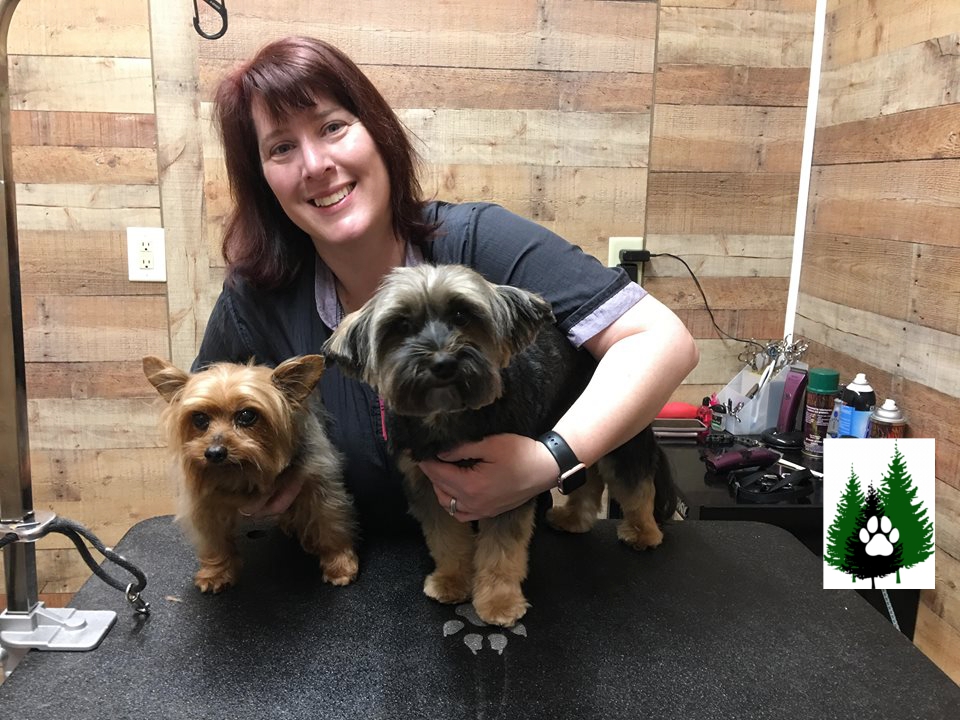 Pet Grooming in the Pines Hartsville