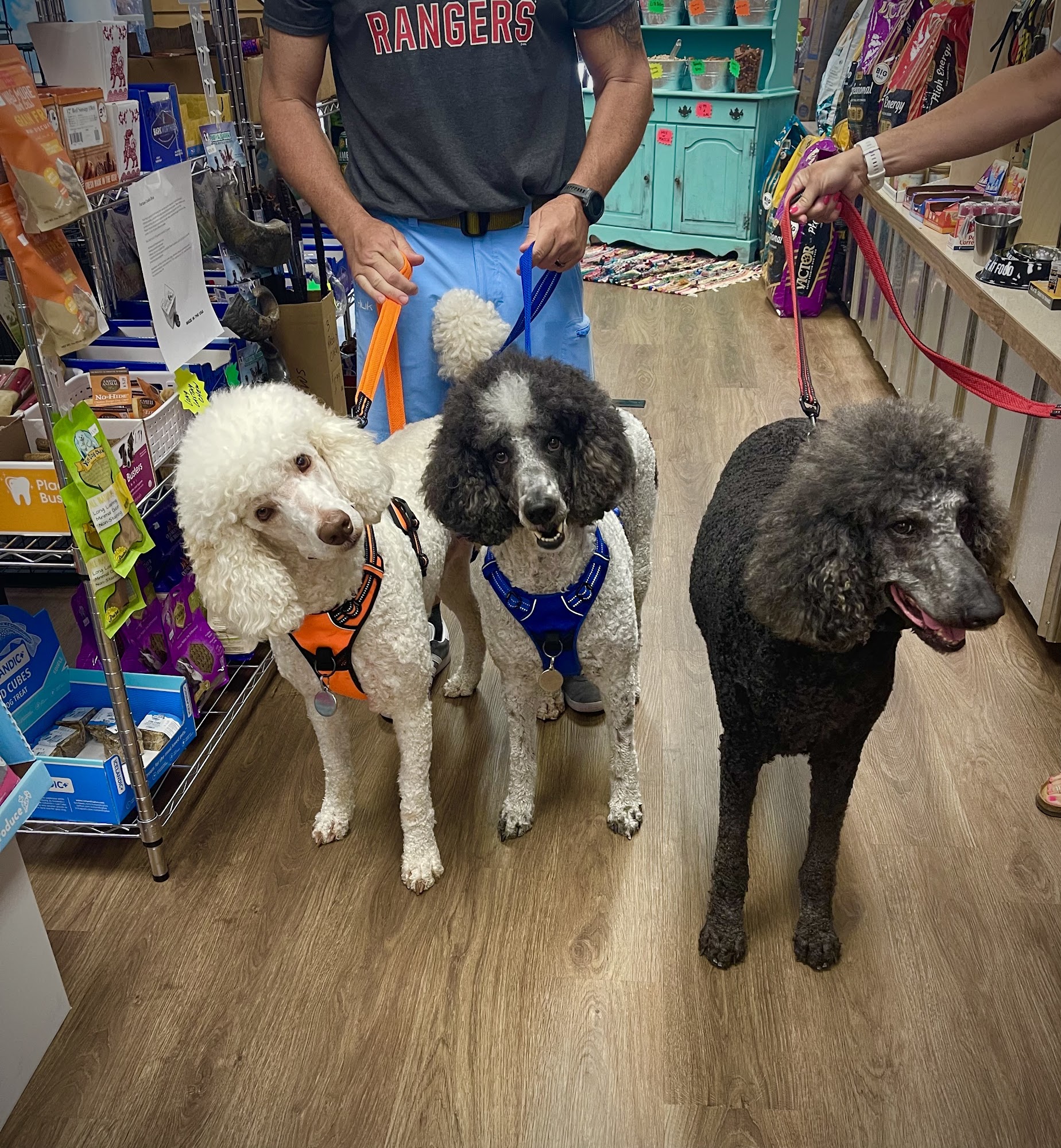 Purrs McBarkin', LLC Hartsville