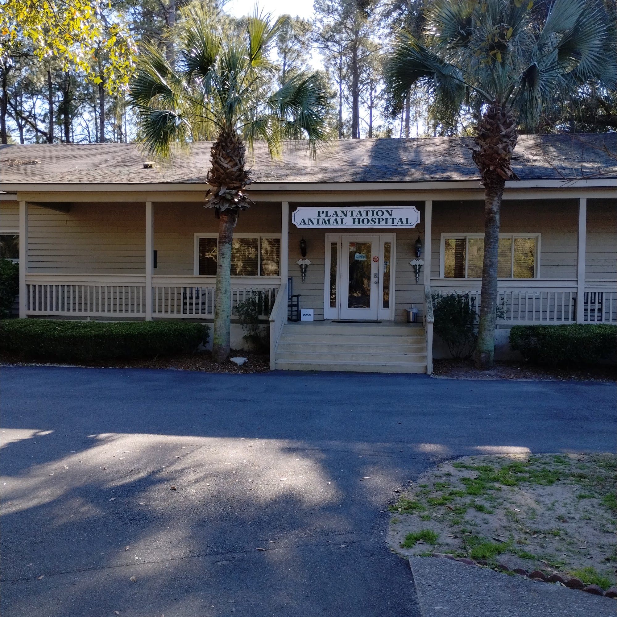 Plantation Animal Hospital Hilton Head Island