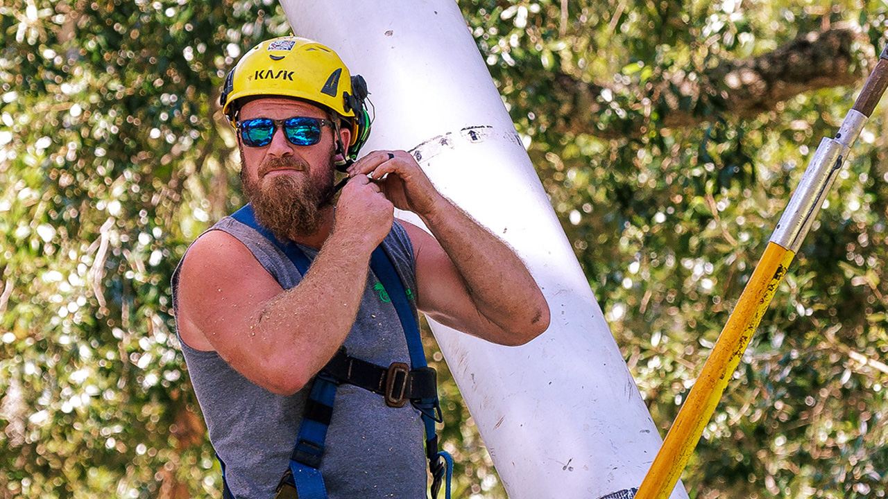 ArborNature Tree Experts