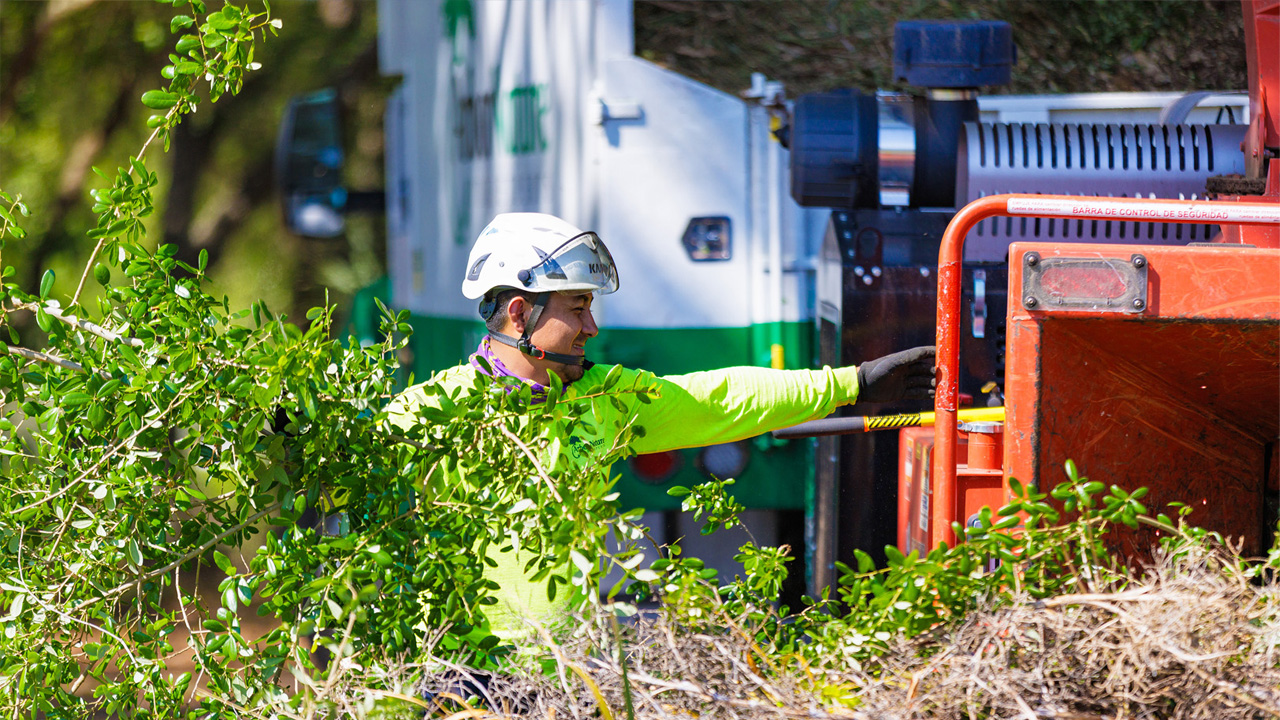 ArborNature Tree Experts