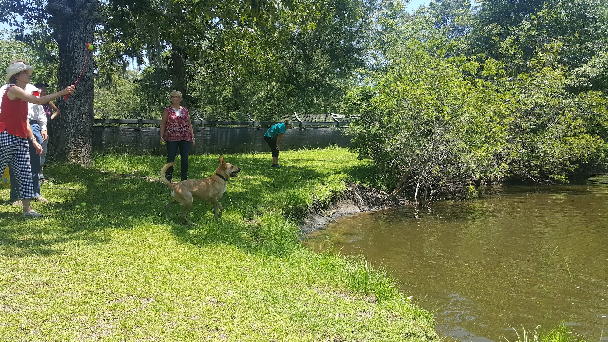 Hallie Hill Animal Sanctuary Hollywood