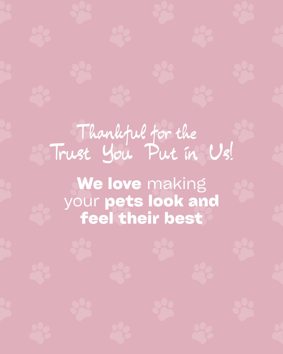 Razzle Dazzle Pet Salon, Daycare, & Mobile Groom Indian Land