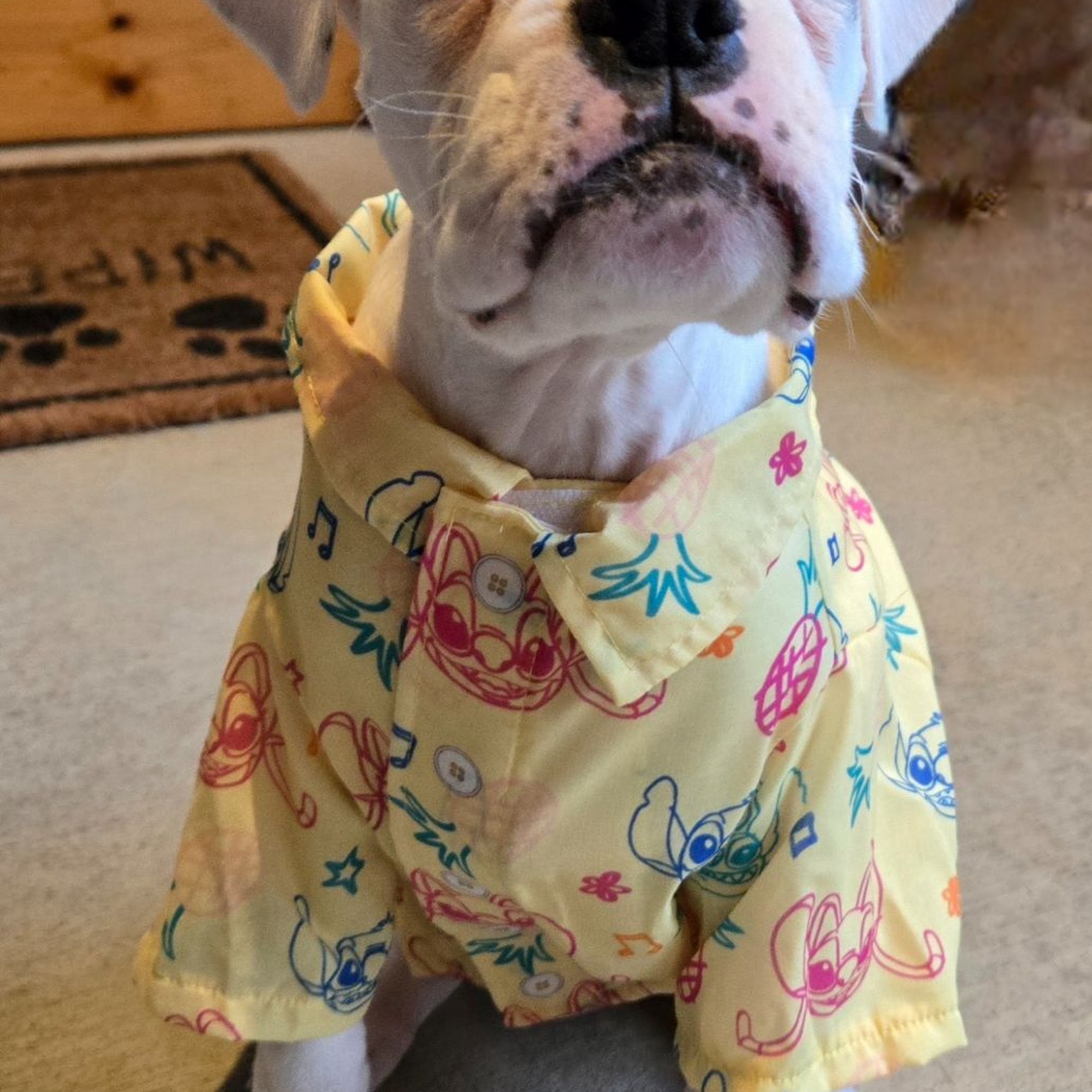 Inman Animal Hospital Inman