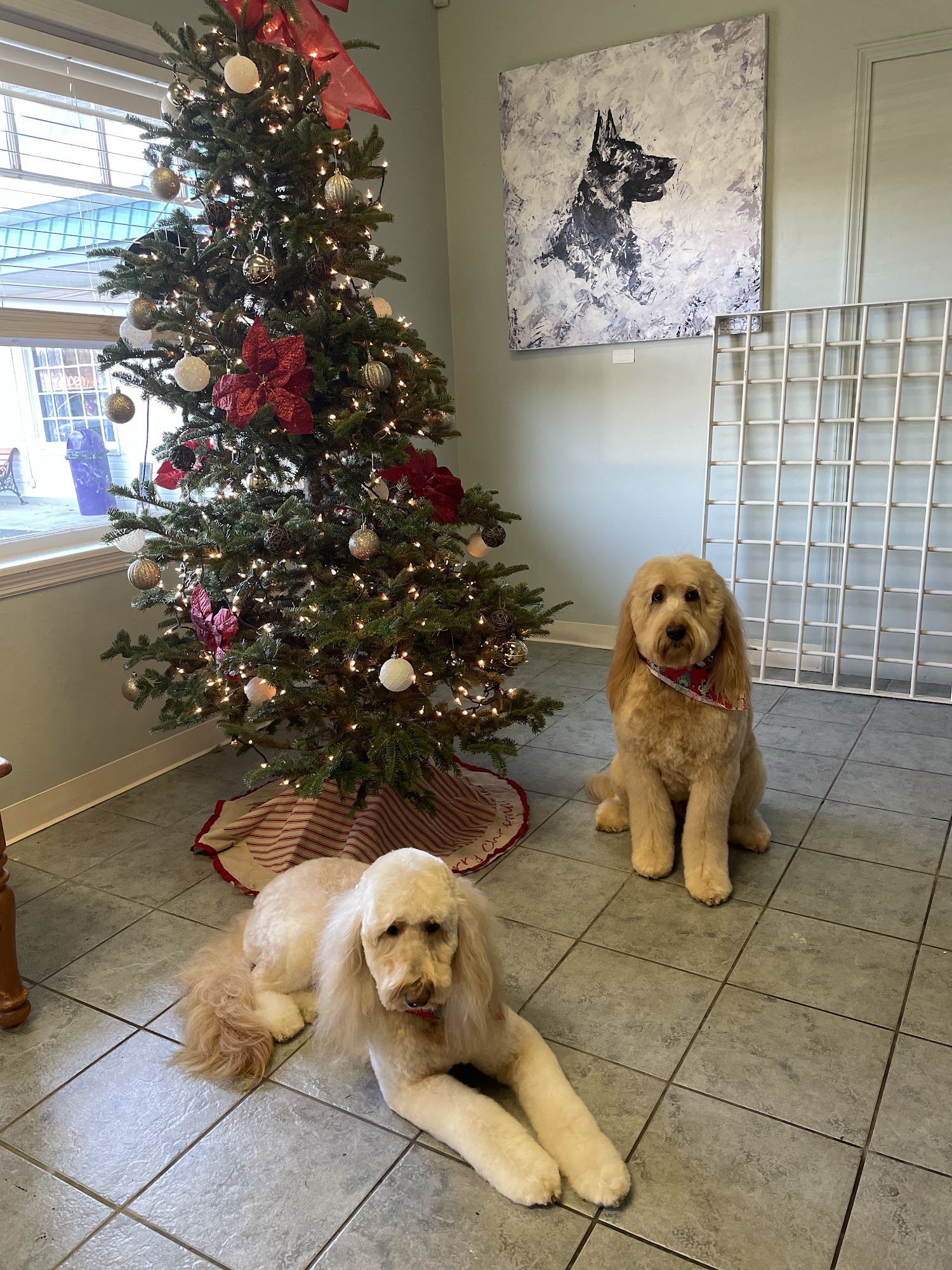 AC Grooming Salon, LLC Inman