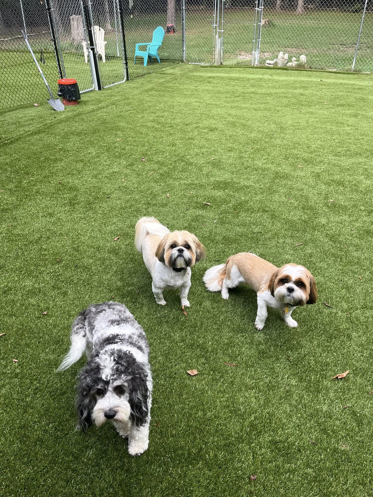 The Woods Canine Resort and Spa Irmo