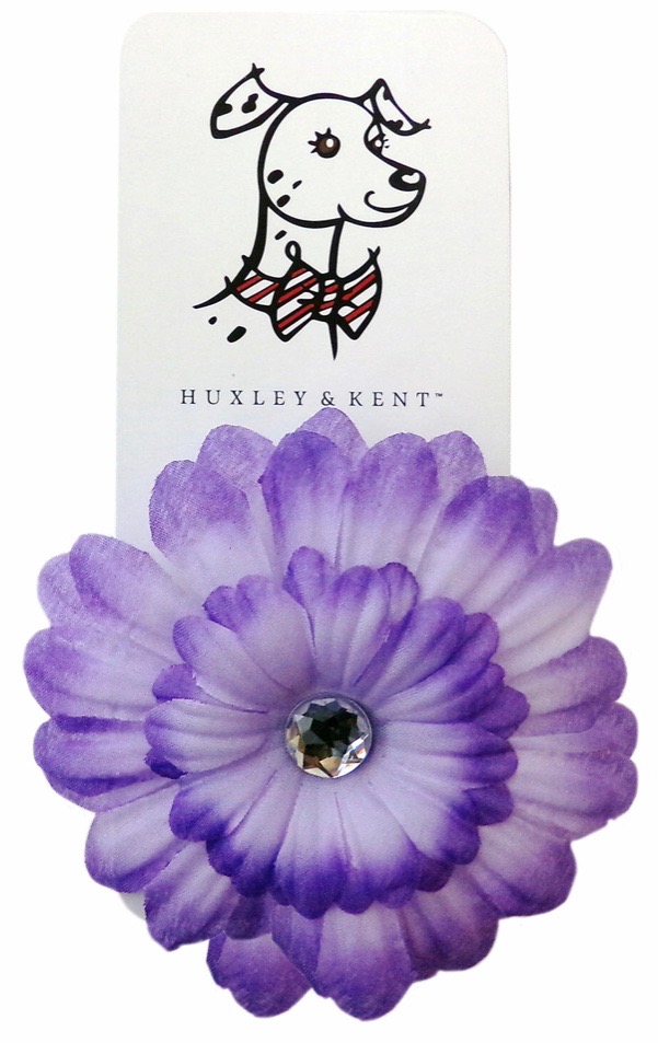 Bows & Bandannas Dog Grooming and The Barktique Irmo