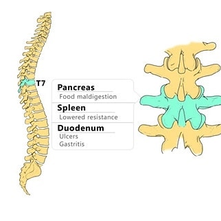 Irmo Family Chiropractic