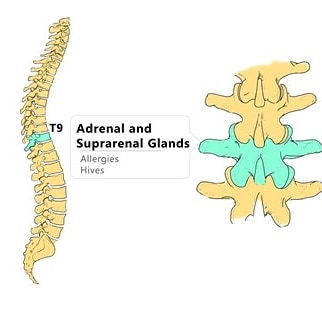 Irmo Family Chiropractic