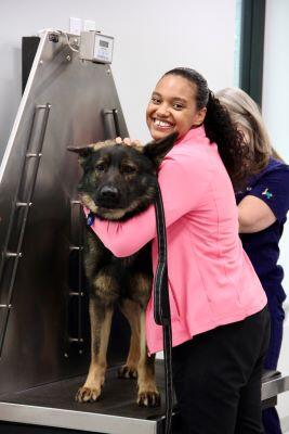 Southside Animal Hospital Johns Island