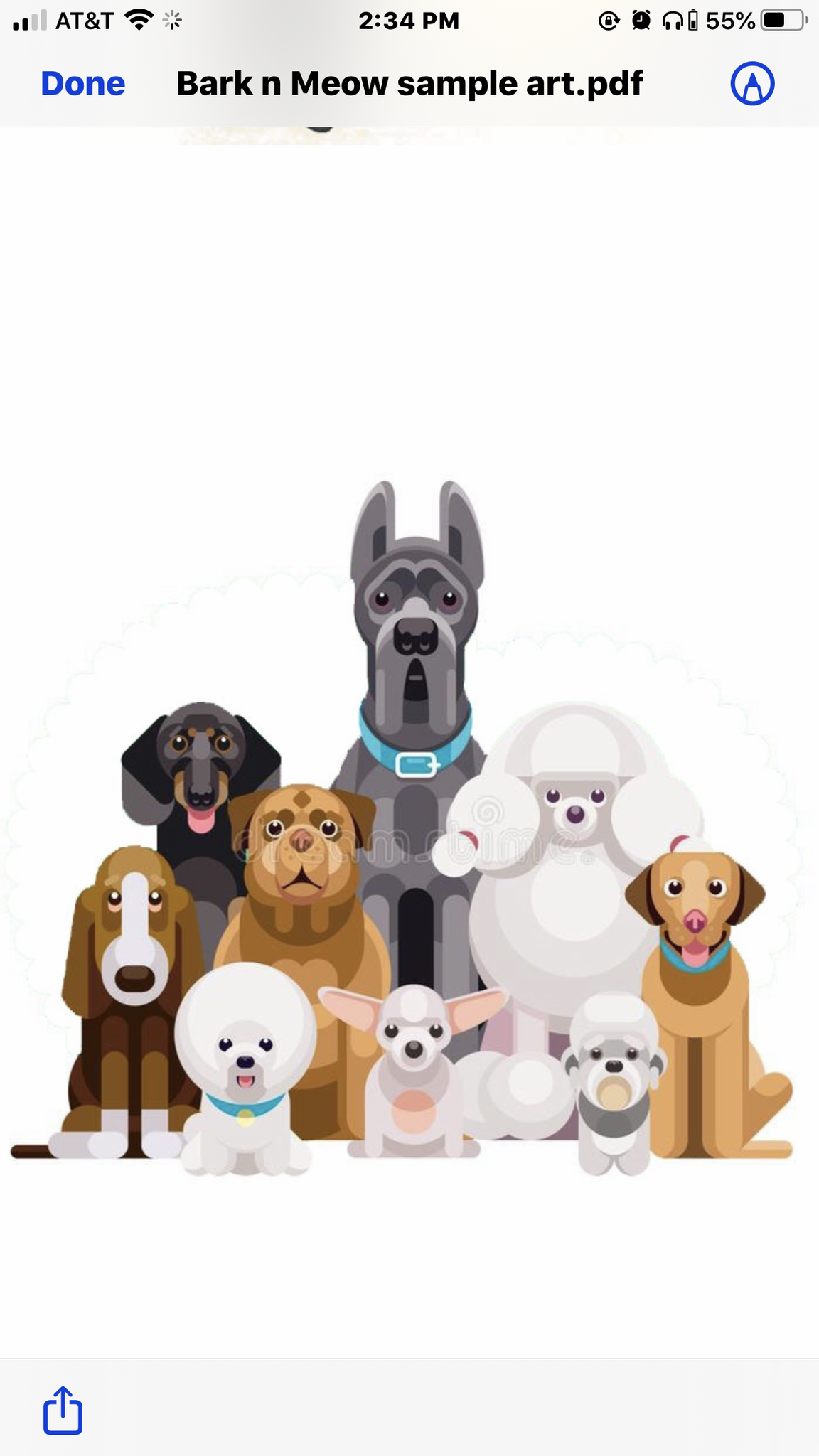 Bark & Meow Grooming Johns Island