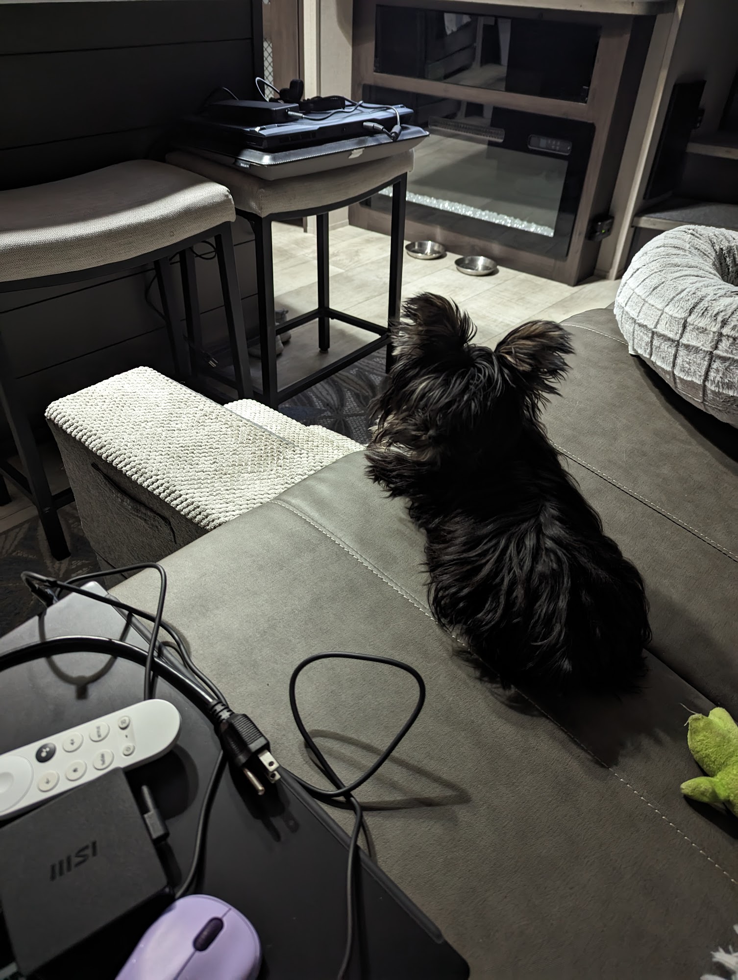 Happy Wags Lodge & Spa and Mobile Grooming Johns Island