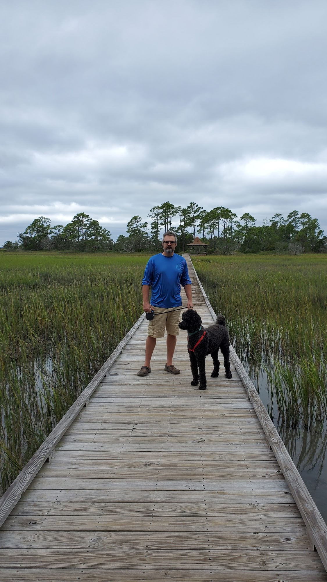 Four Square Veterinary Care Kingstree