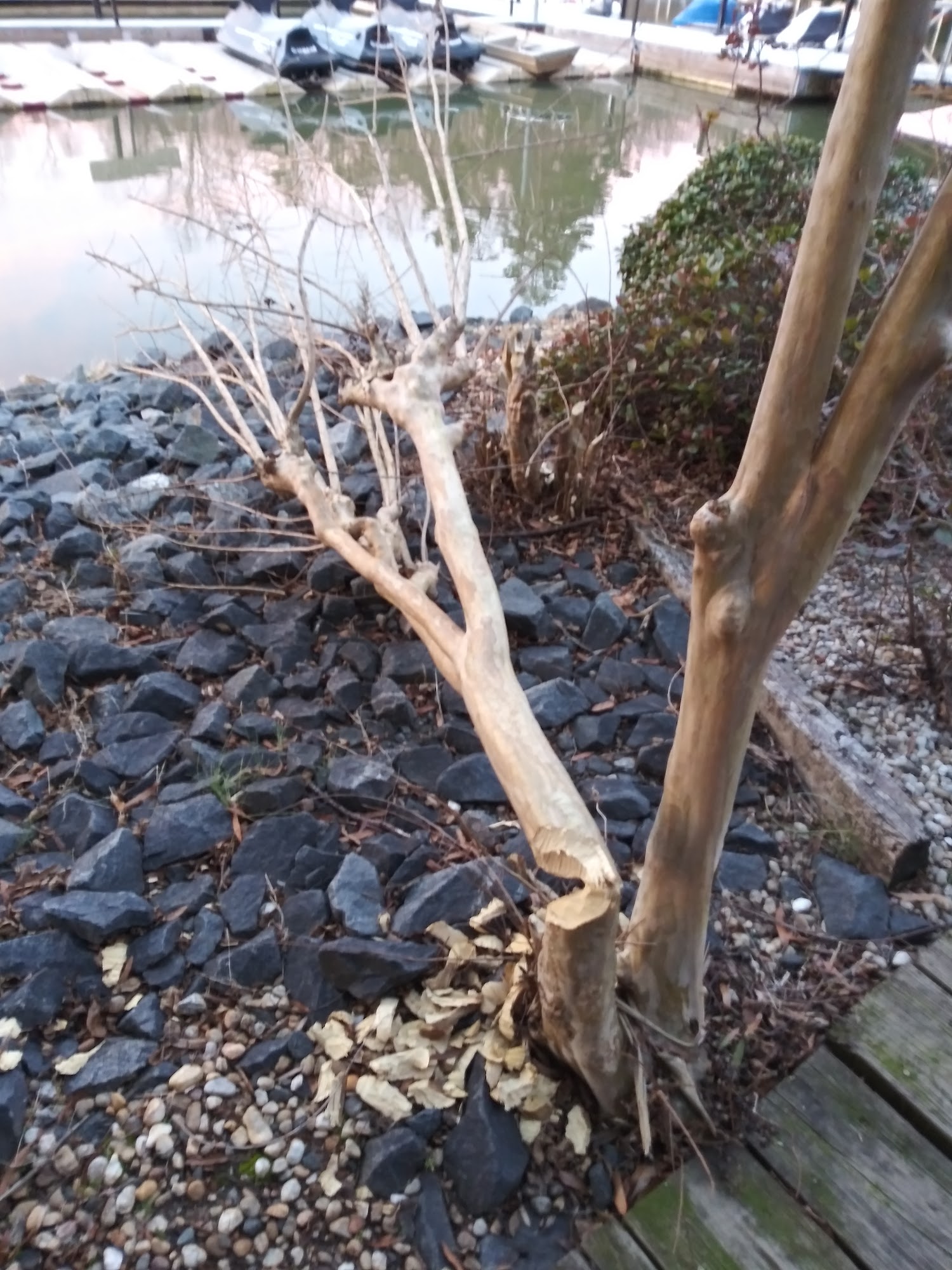 Pier 88 Yacht Club Menu