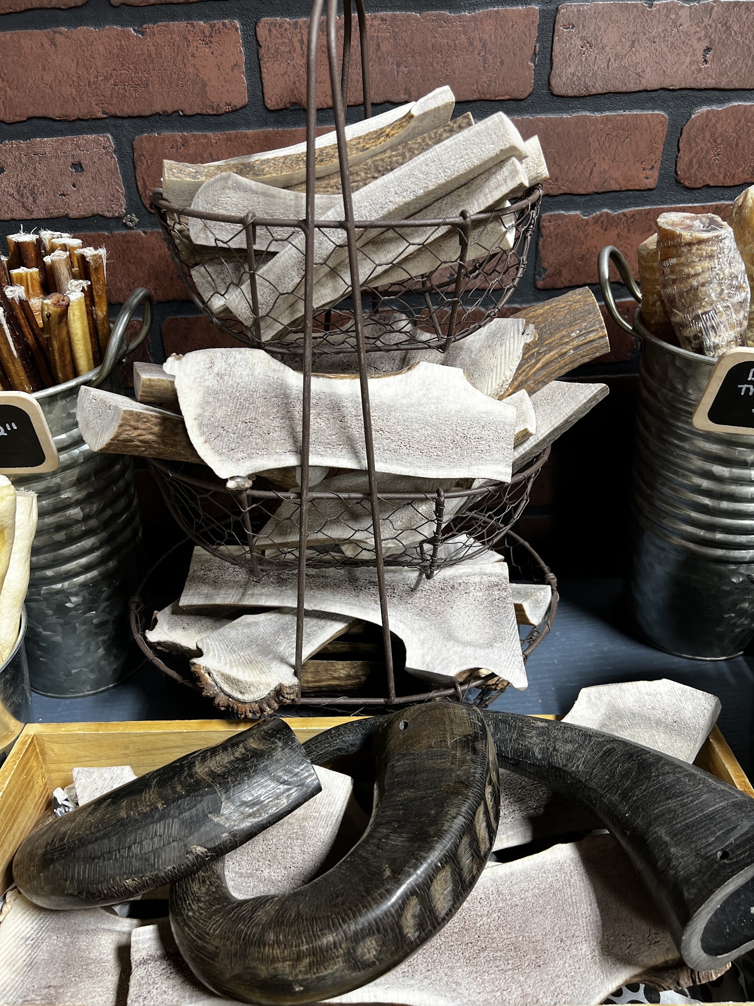 Pet Wants Lake Wylie Lake Wylie