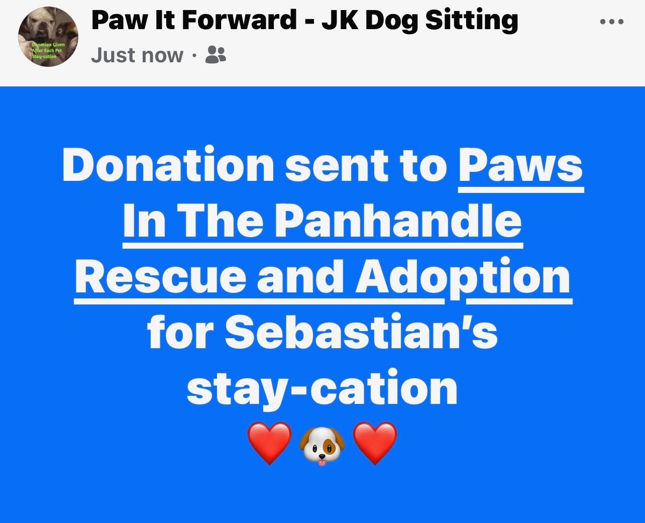 Palmetto Kennels Lancaster