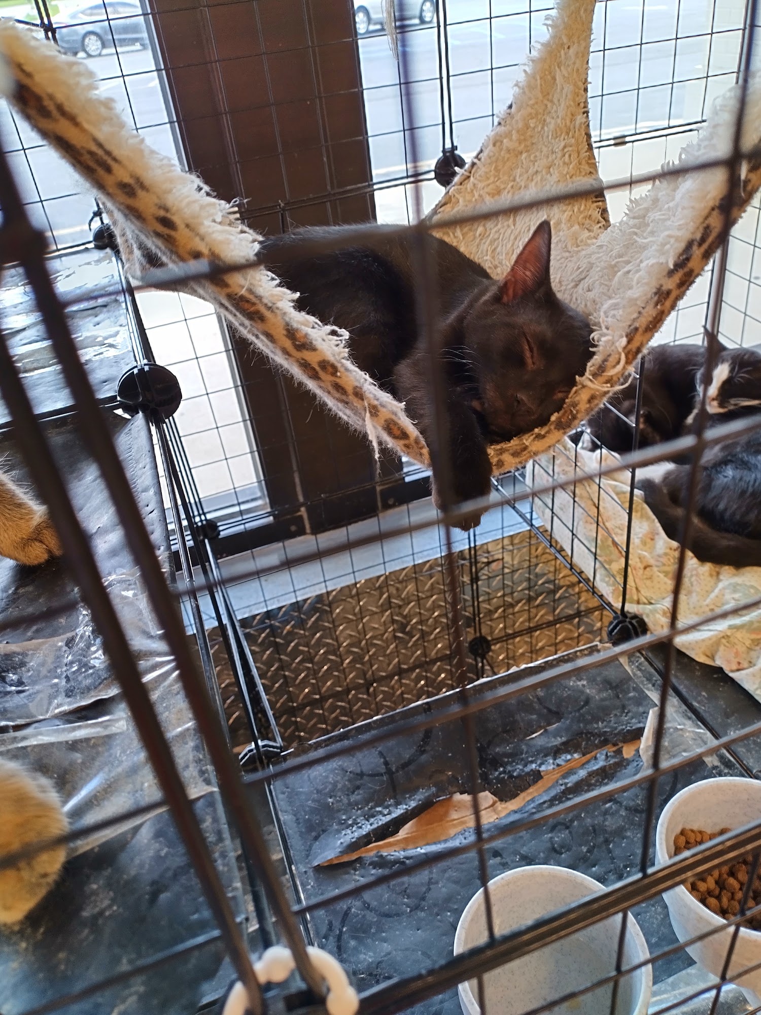 Petsense by Tractor Supply Lancaster