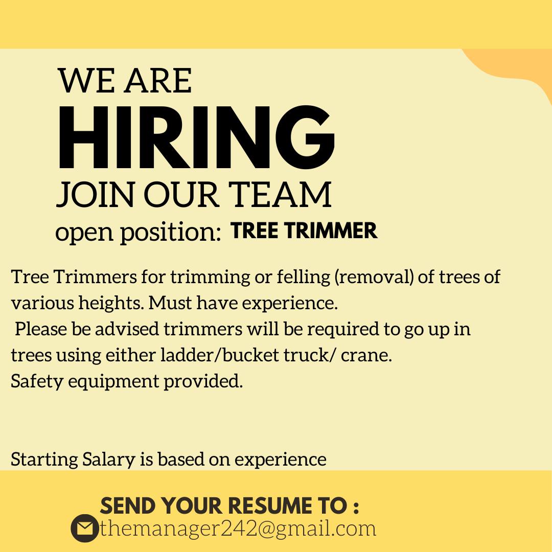 A1 Tree Removal & Landscaping