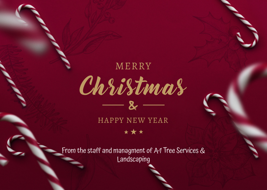 A1 Tree Removal & Landscaping